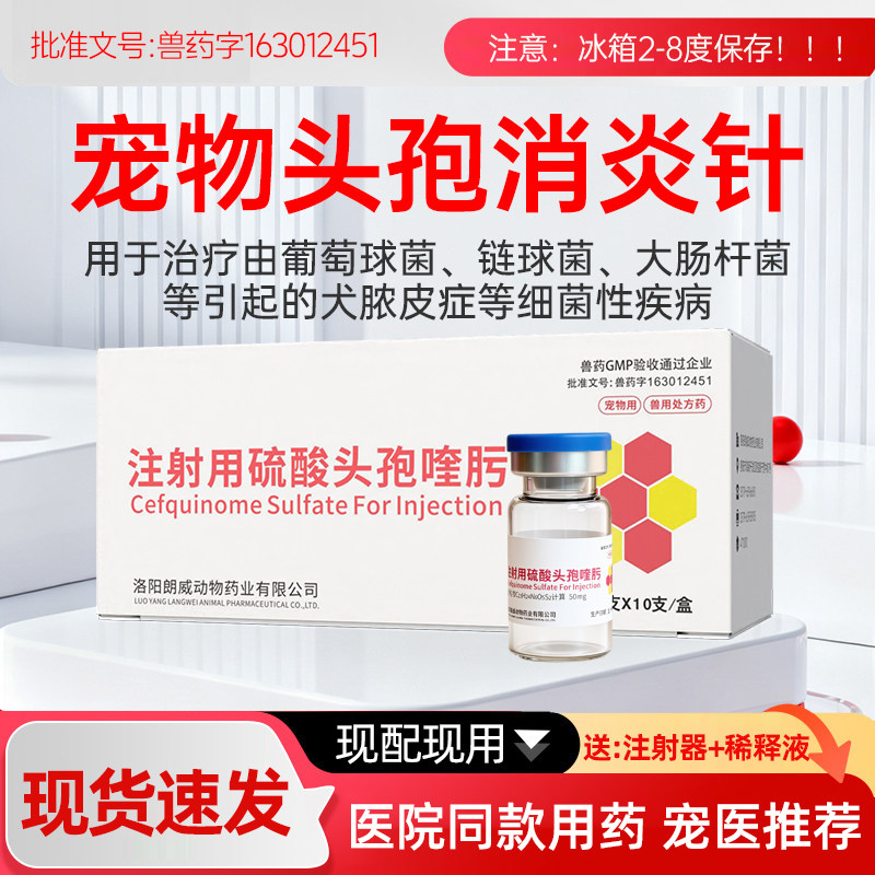 宠物猫狗注射用头孢消炎针消炎药