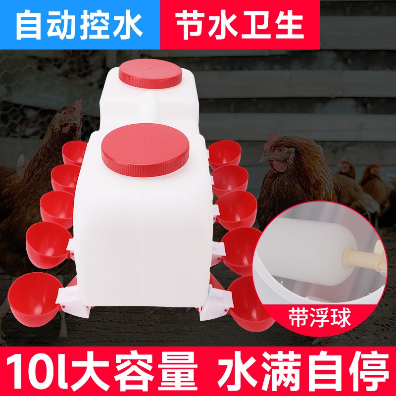 鸡用自动饮水器家禽小雏鸡鸽子鸭鹅饮水碗喂水器鸡水桶喝水碗水壶