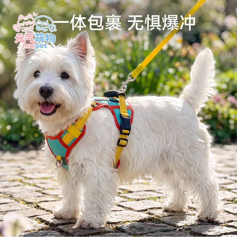 小型中型犬背心式胸背牵引绳图片