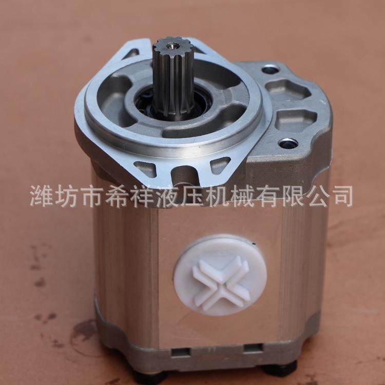 齿轮泵厂家专业大型机械液压齿轮泵多种齿轮油泵,五金/工具,其它泵类型,淘宝优惠券,粉丝福利购,淘宝优惠卷