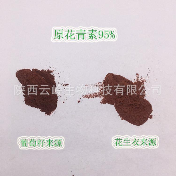 水溶葡萄籽提取物花生衣提取物葡萄籽原花青素95%原料粉OPC