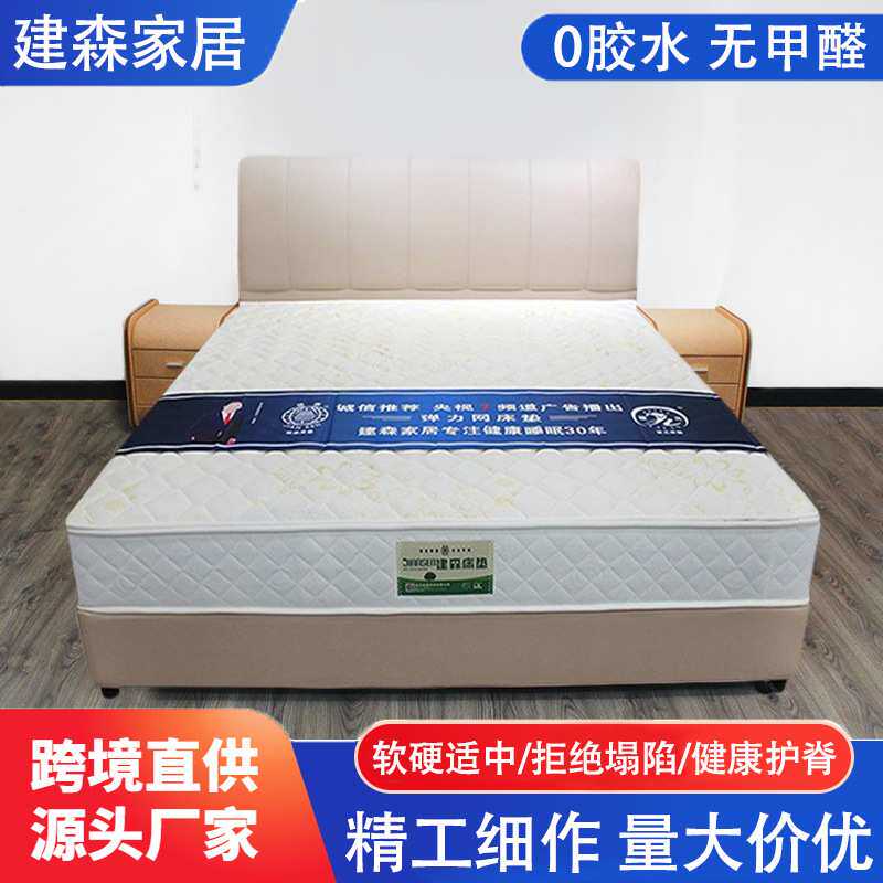 家用卧室两用床垫弹簧席梦思酒店用床垫儿童成人侧拉链可拆洗床垫