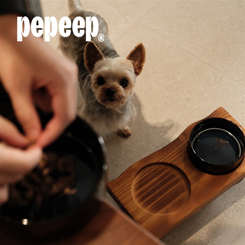 pepeep陶瓷碗猫狗通用宠物家具时尚餐桌护颈防打翻