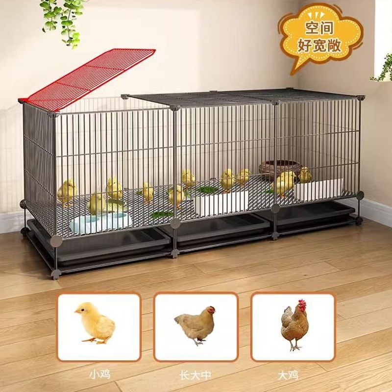 小鸡苗专用笼加密室内育雏养殖鸡笼子芦丁鸡鹌鹑笼小黄鸭家用大号