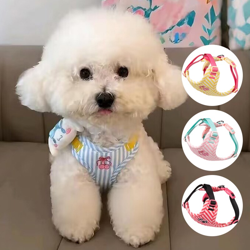 狗狗牵引绳中小型犬背心式防挣脱泰迪比熊透气可调节胸抱婴袋狗绳