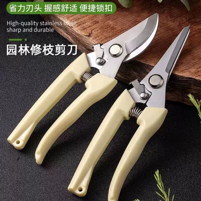 不锈钢省力园艺修枝剪花卉专用