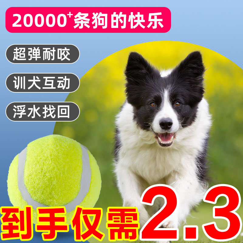 狗狗玩具球自嗨解闷神器