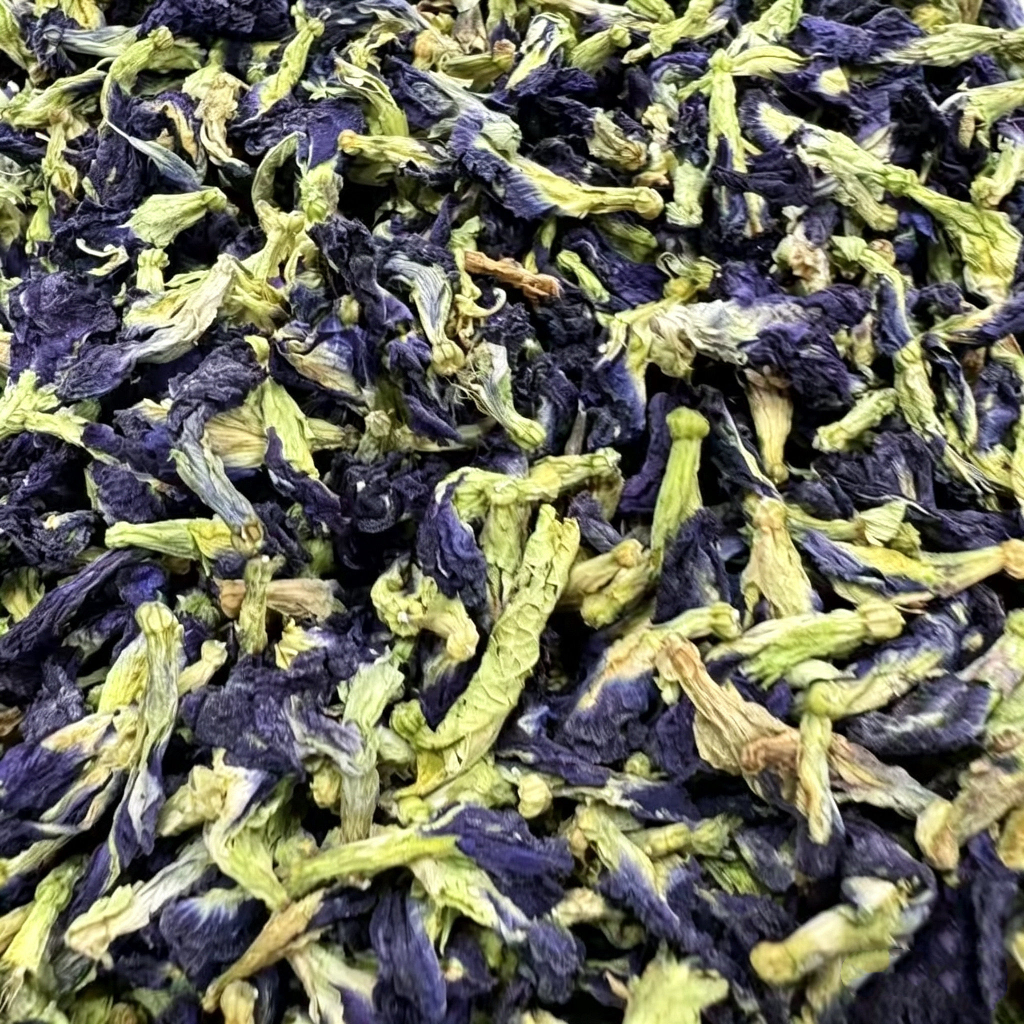 青霄莲 蓝连花 云南梅里雪山野采特级本草 中缅边境野生蓝蝴蝶