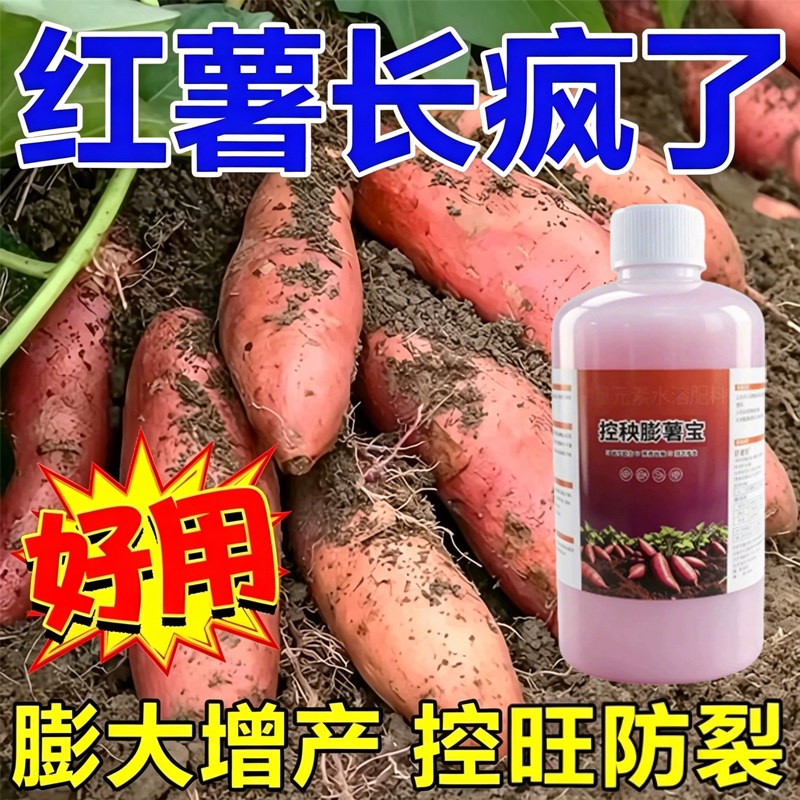 红薯控旺膨大增产肥料