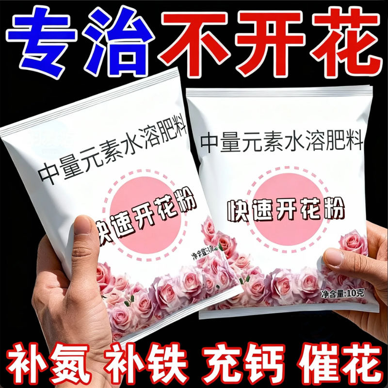 快速开花粉三角梅茉莉盆栽花