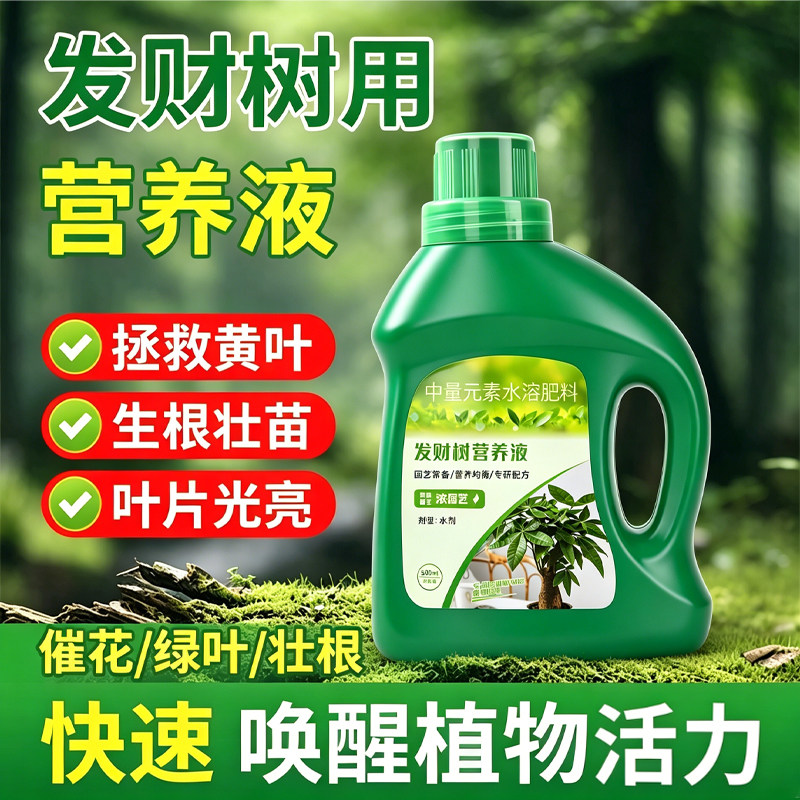 发财树专用水溶营养液生根壮苗