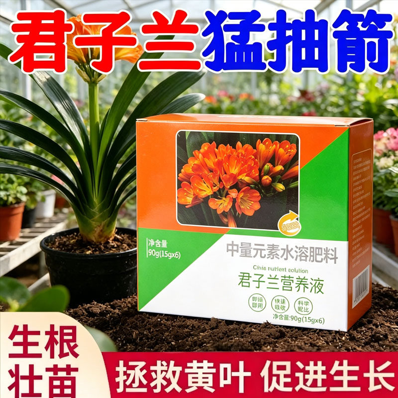 君子兰专用营养液免稀释花治黄