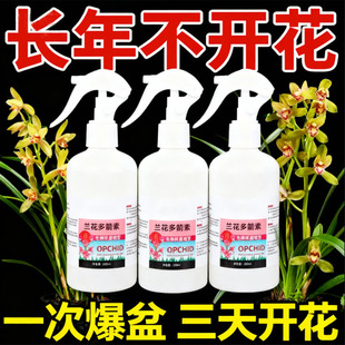 兰花多箭素爆芽素专用营养液蝴蝶兰多剑王兰灵王营养液肥料水溶肥