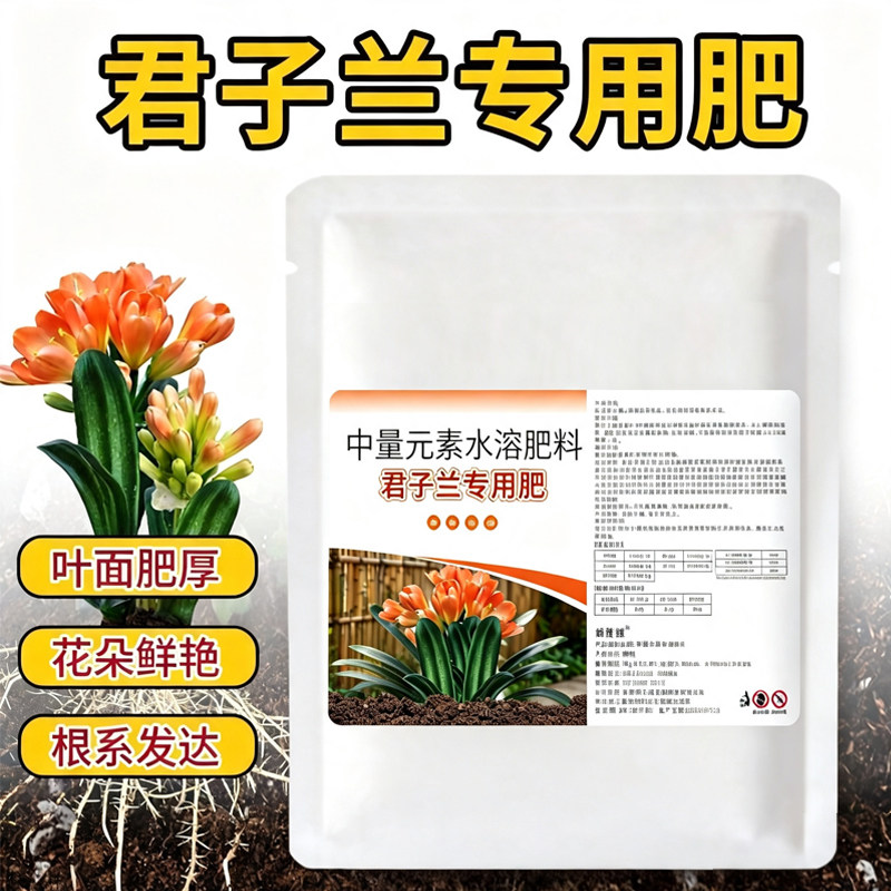 君子兰专用颗粒缓释肥拔箭花