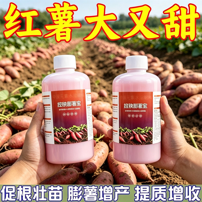 红薯不打顶控旺膨大素只长红薯