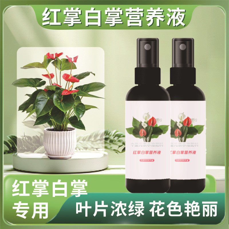 红掌专用营养液盆栽水培通用