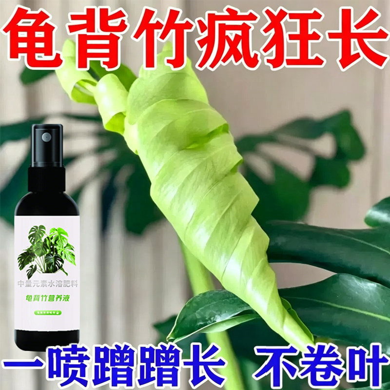 水培龟背竹专用营养液专治防黄叶专用肥卷叶免稀释喷施通用型喷雾