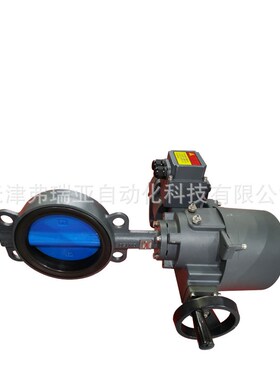 电动蝶阀 D971J-10 DN125 球墨铸铁 双相钢1.452