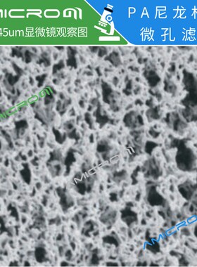 35mm尼龙膜 PA有机系微孔滤膜 N6油性过滤膜CPA035022 CPA035045