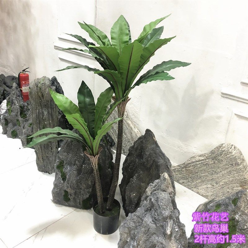 仿真鸟巢蕨 鸟巢树 鸟巢叶绣球花装饰植物 店面摆放田园造景绣球,鲜花速递/花卉仿真/绿植园艺,仿真绿植,淘宝优惠券,粉丝福利购,淘宝优惠卷