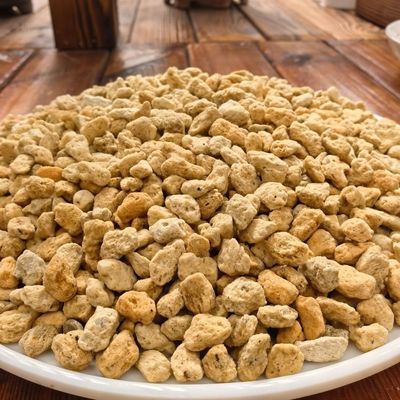 日本进口鹿沼土多肉杜鹃兰花营养