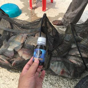 黑坑灵罗非狂开口钓鱼小药冷冻鱼饵料添加剂野钓罗非小箹垂钓配方