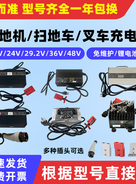凯驰嘉得力洗地机扫地车免维护铅酸电瓶锂电瓶充电器24V15A20A25A