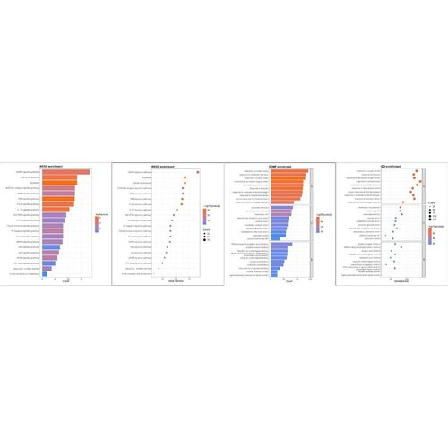 药理学 网络药理学 网络药理学分析 Cytoscape PPI  Kegg Go 对接
