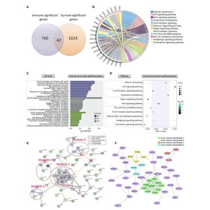 完全从零基础学生物信息Linux软件R语言 多组分析脚本基因组拼接