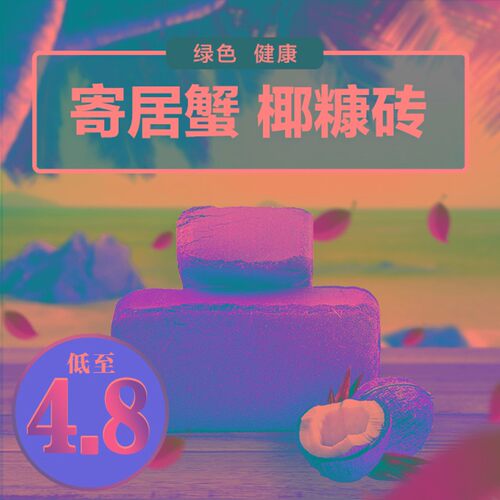 寄居蟹椰糠砖蜕皮爬宠箱垫材无菌蜕皮土乌龟冬眠过冬保湿保暖营养