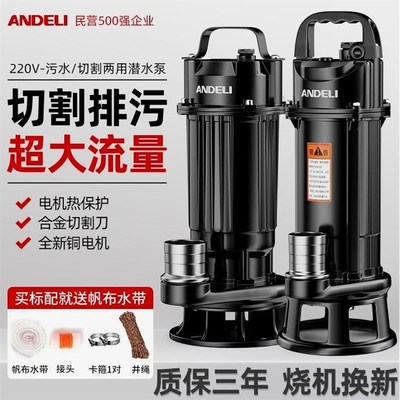 德国进口安德利切割泵污水泵抽粪泵农用泥浆潜水泵家用化粪池220v