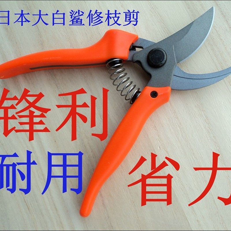 日本进口DB-102果树剪果枝剪刀花剪子修枝剪茶园剪园艺修枝剪包邮