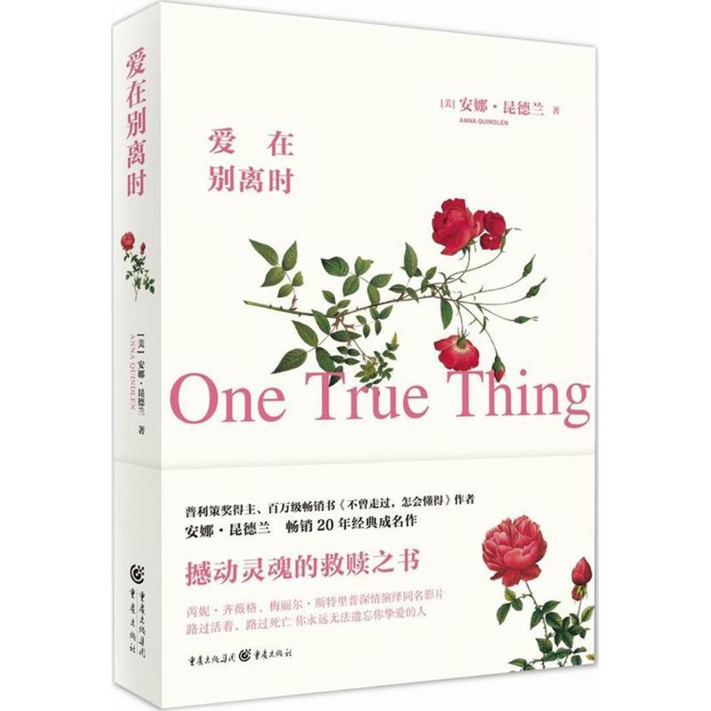 【正版图书】爱在别离时美安娜昆德兰重庆出版社9787229118396