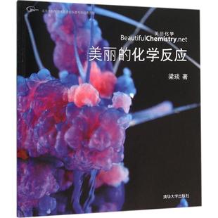 【保正版】原点阅读美丽的化学反应梁琰清华大学出版社9787302423782