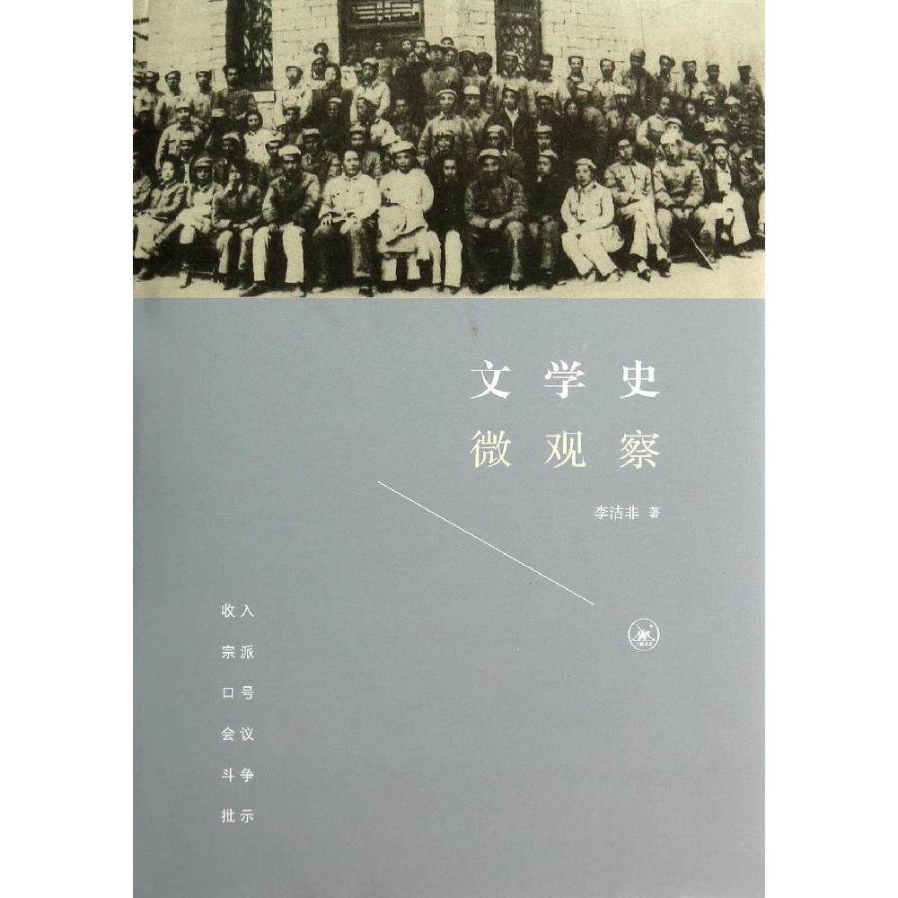 【保正版】文学史微观察李洁非责编卫纯三联书店9787108048622