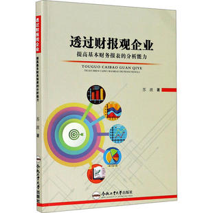 【正版图书】透过财报观企业提高基本财务报表的分析能力苏波著9787565046780合肥工业大学出版社