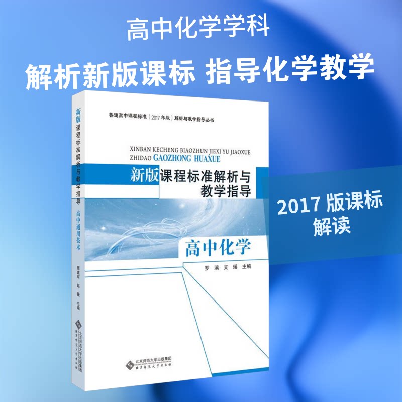 【正版书籍】课程标准解析与教学指导高中化学罗滨支瑶主北京师范大学出版社