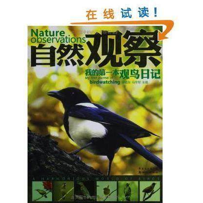 【保正版】自然观察我的本观鸟日记廖晓东马学军编新世纪出版社9787540545666