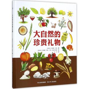 社9787559505576 珍贵礼物奥苏珊娜莉娅译者刘莎绘者奥艾娃鲁道夫斯基河北少年儿童出版 正版 书籍大自然