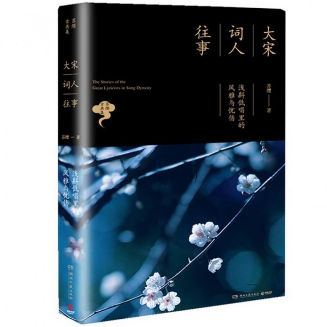 【保正版】大宋词人往事浅斟低唱里的风雅与忧伤苏缨 著湖南文艺出版社