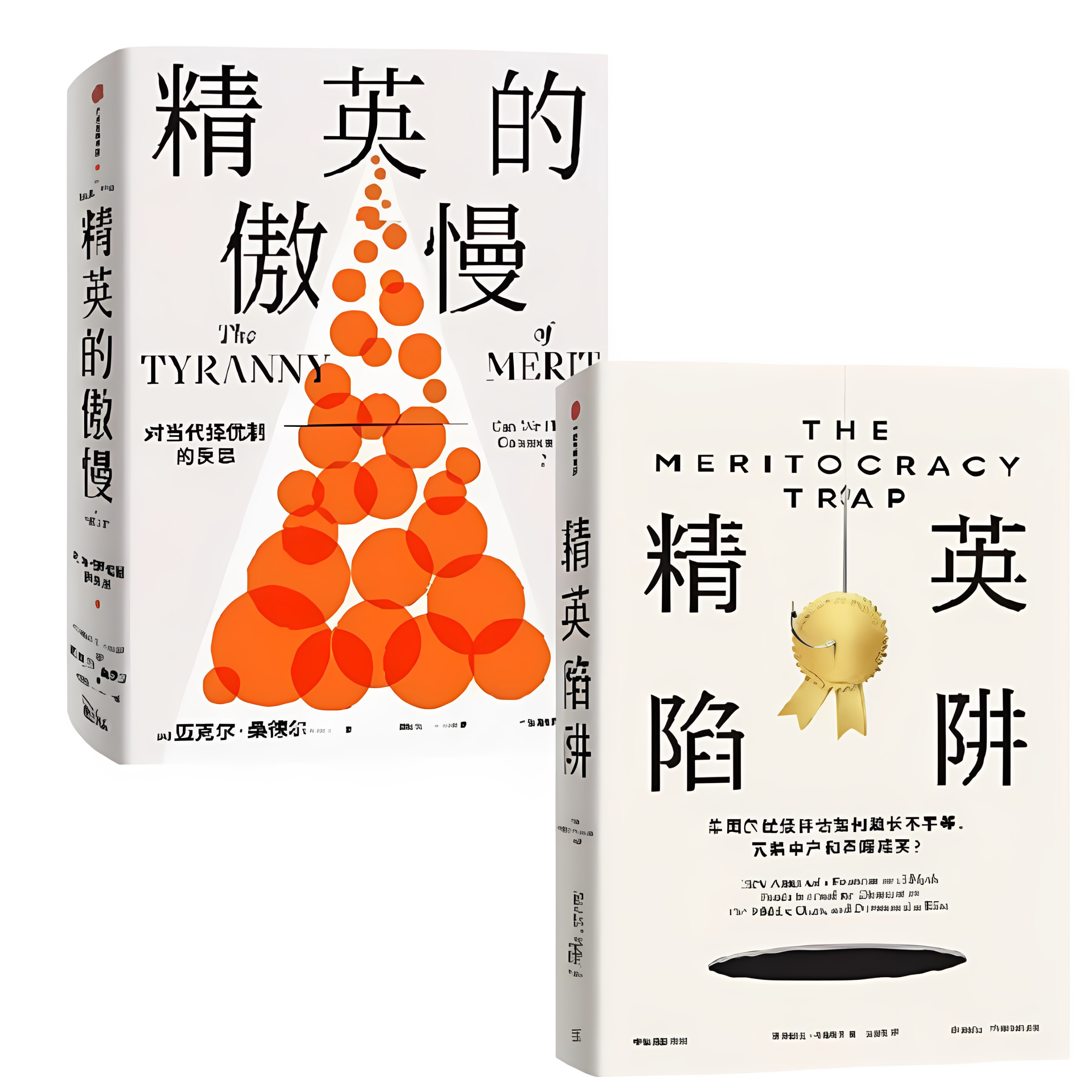 精英陷阱精英的傲慢好的社会该如何定义成功迈克尔桑德尔等著中信出版社图书为你揭露优绩主义的真相金钱不能买什么美国梦的破碎C