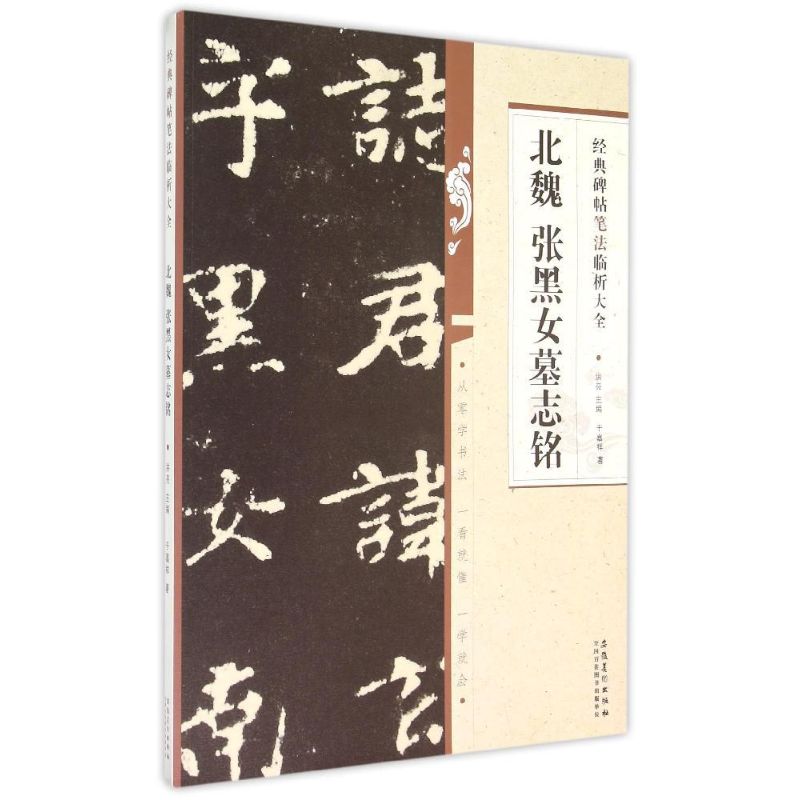【正版图书】经典碑帖笔法临析大全北魏张黑女墓志铭于嘉祥洪亮编艺术安徽美术出版社