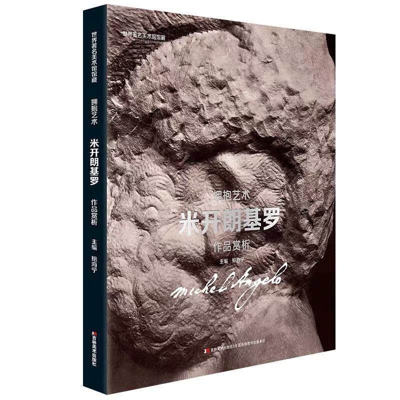 【正版图书】世界美术馆馆藏拥抱艺术米开朗基罗作品赏析鲍海宁艺术书吉林美术出版社