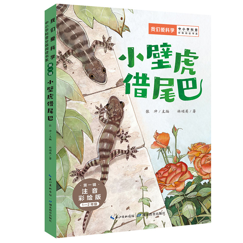 正版图书\小壁虎借尾巴林颂英著张冲主编湖北教育出版社9787556447831