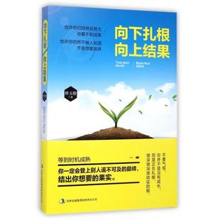 【正版图书】向下扎根向上结果林玉椿吉林出版社9787553459592