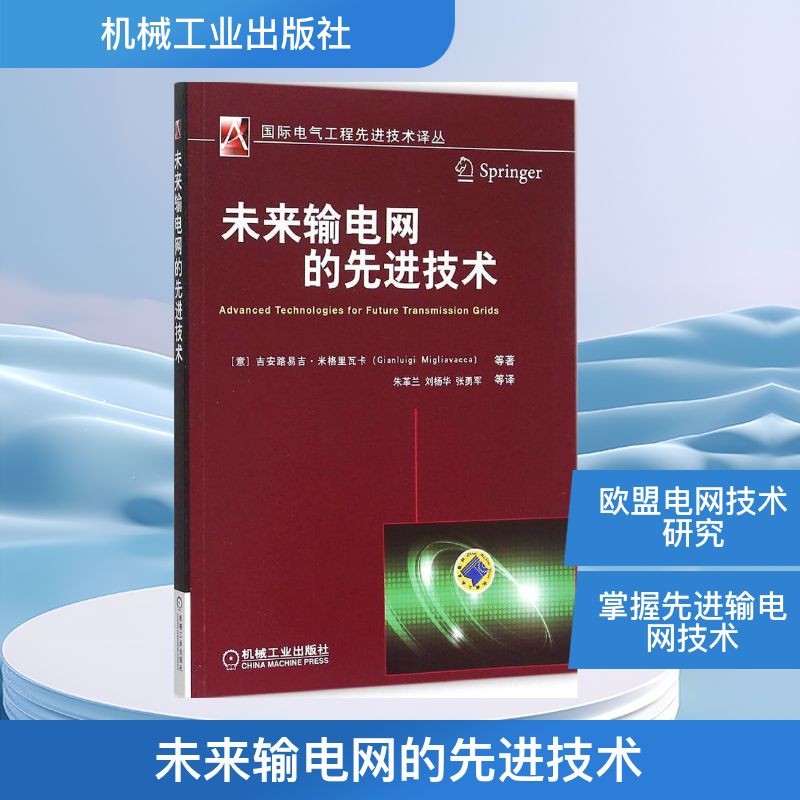 【正版书籍】未来输电网的技术吉安路易吉米格里瓦卡吉安路易吉米格里瓦卡著朱革兰刘杨华张勇军译机械工业出版社