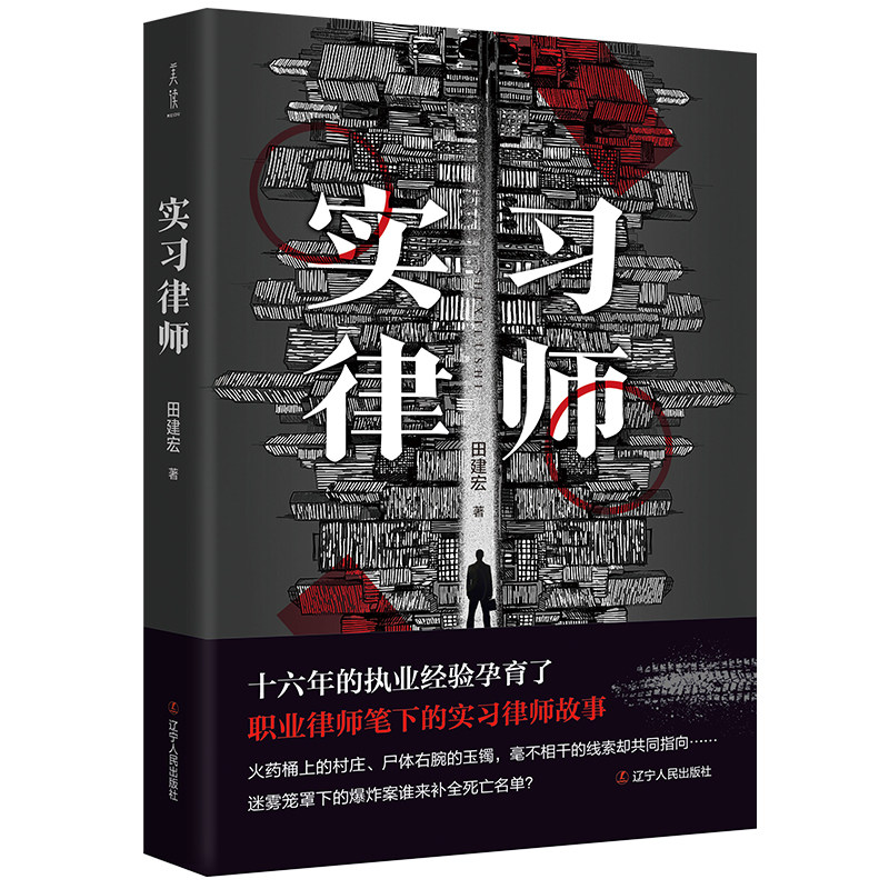 【正版图书】实习律师田建宏辽宁人民出版社9787205105488