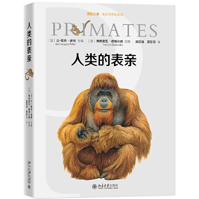 正版图书人类的表亲博物文库生态与文明系列法让雅克彼得编殷丽洁黄彩云译法弗朗索瓦德博尔德绘北京大学出版社9787301305546