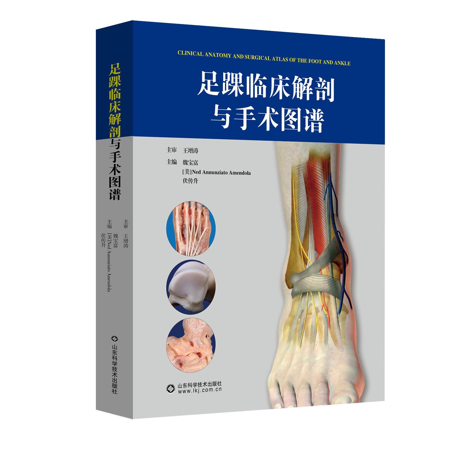 【正版书籍】足踝临床解剖与手术图谱魏宝富内德安农齐亚托阿门多拉伏传升山东科学技术出版社9787572309991
