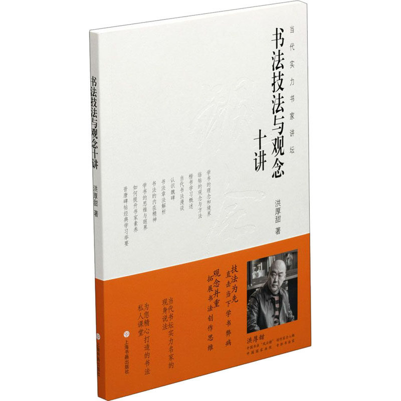 【正版图书】书法技法与观念十讲洪厚甜艺术书籍上海书画出版社